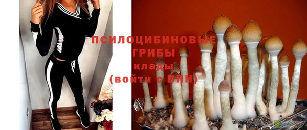 сатива Арсеньев