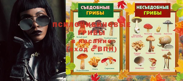 сатива Арсеньев