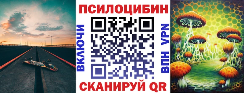 Купить Мичуринск Псилоцибиновые грибы мицелий